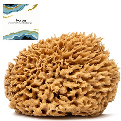 Naroa Soft Natural Sponge | Gentle Sea Sponge for Bathing Healthy Skin | Unbleached Shower Body Scrubber Puff | Eco Friendly Bath Spa Sponge (Soft - X Large)